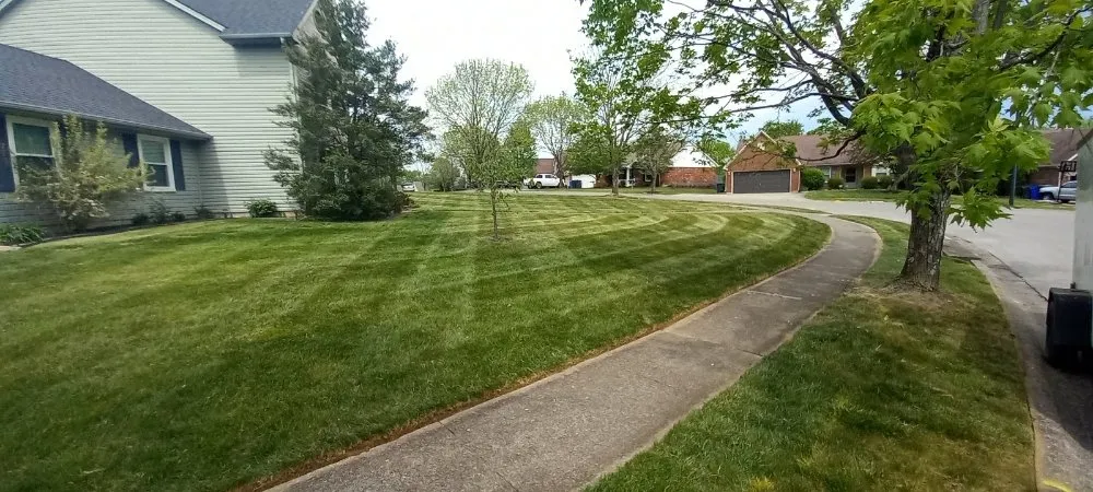 Professional landscape installation experts serving Lexington-Fayette, KY - Devine Landscapes and Exterior Homes Services
