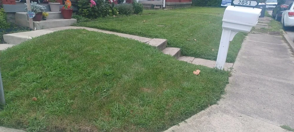 Professional landscape installation in Indianapolis, IN - Devine Prestige Lawn Care