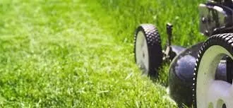 Affordable landscaping services in Bells, TX by Devin's Dirty Jobs