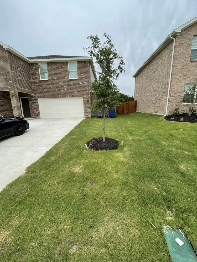 Affordable landscaping services experts serving Glenn Heights, TX - Devins Lawn Mowing Care