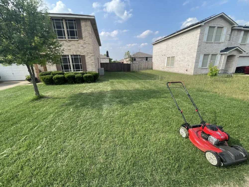 Affordable lawn mowing service for residential properties in Glenn Heights, TX by Devins Lawn Mowing Care