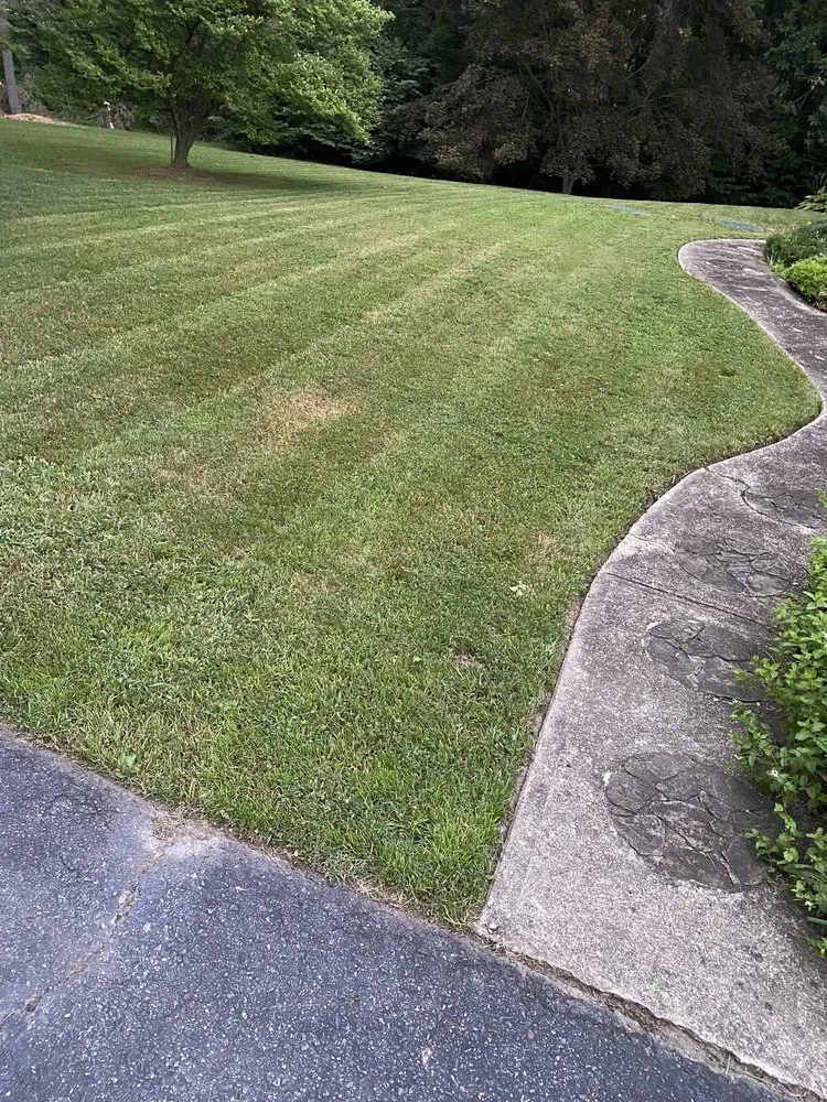 Top-rated lawn care service with custom design in Newark, DE by Devis And Son