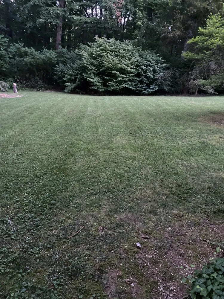 Professional yard maintenance experts serving Newark, DE - Devis And Son