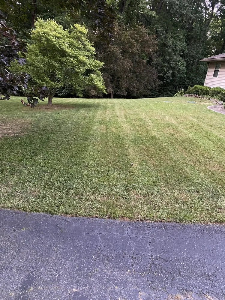 Trusted landscape design experts serving Newark, DE - Devis And Son