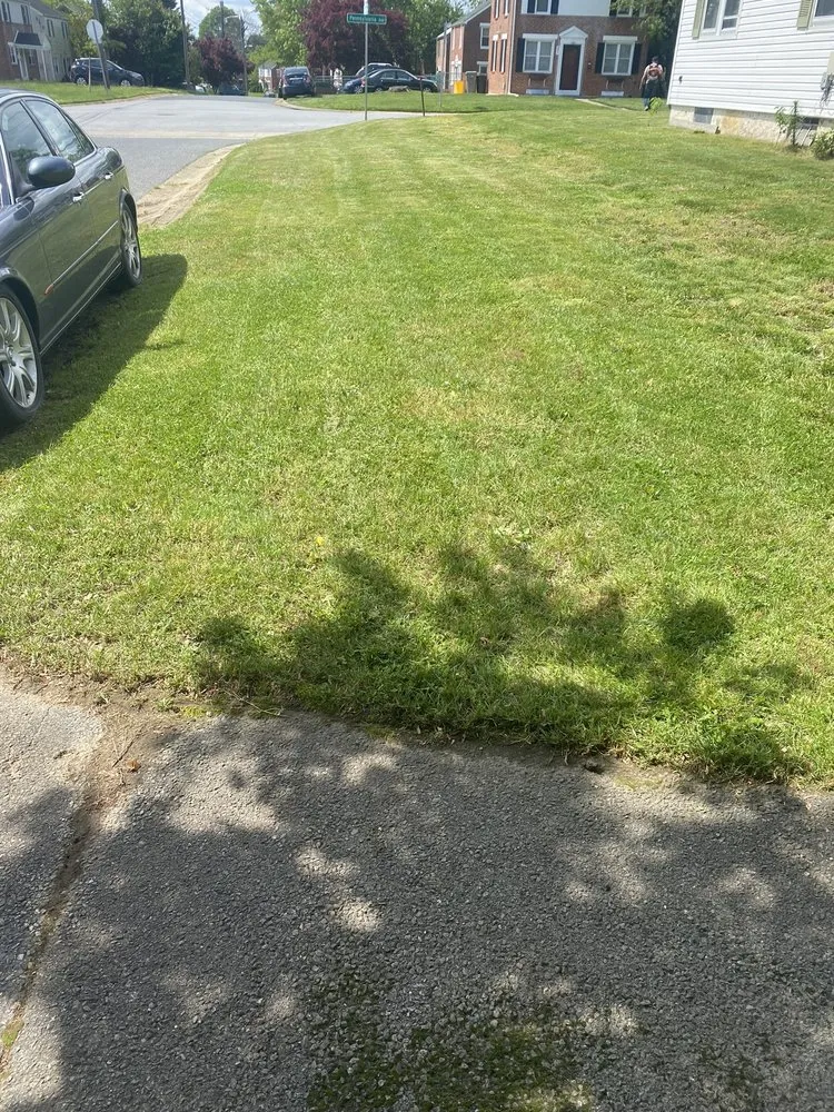 Top-rated lawn mowing service experts serving Newark, DE - Devis And Son