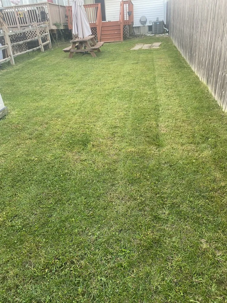 Top-rated landscape design in Newark, DE - Devis And Son