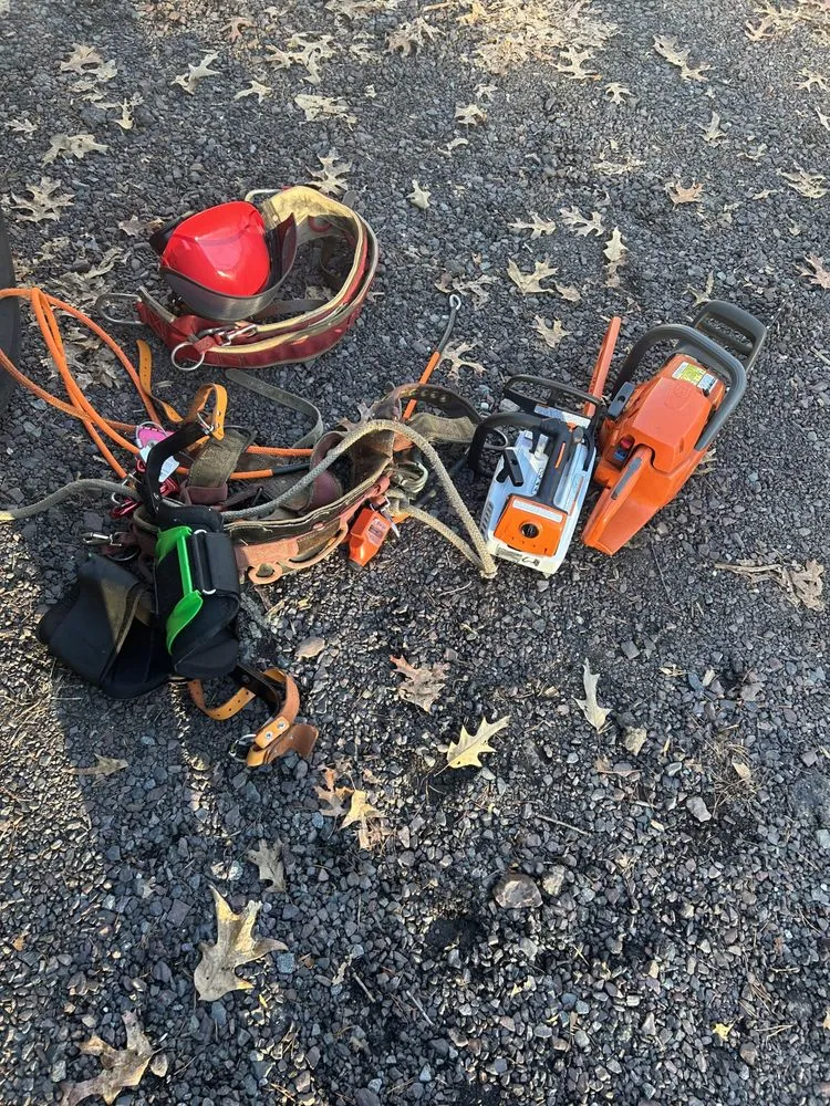 Expert lawn care service experts serving Culpeper, VA - Devon's Landscaping Plus