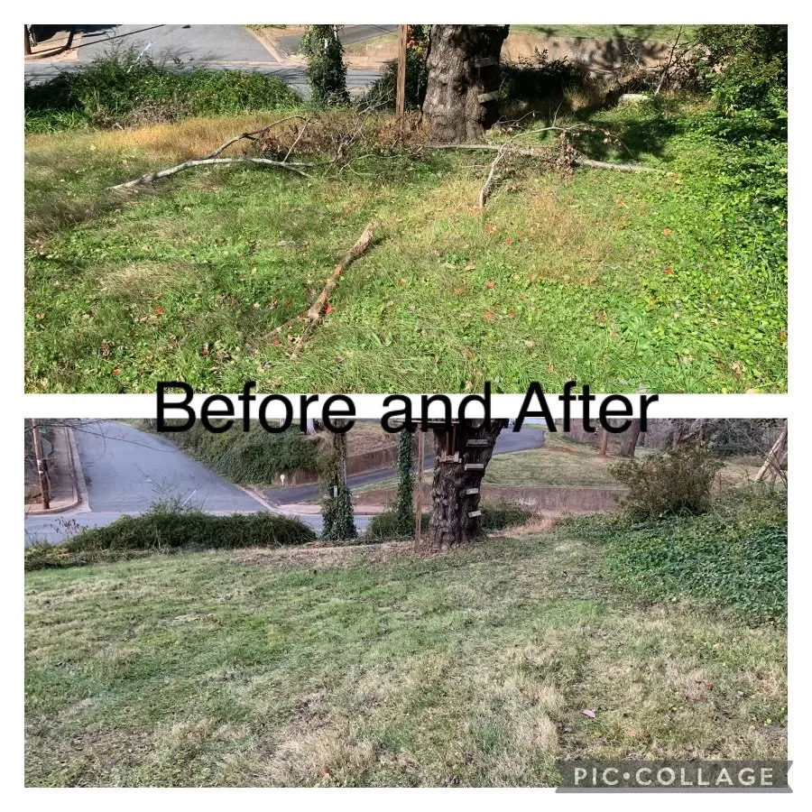 Local lawn care service for year-round maintenance in Culpeper, VA by Devon's Landscaping Plus