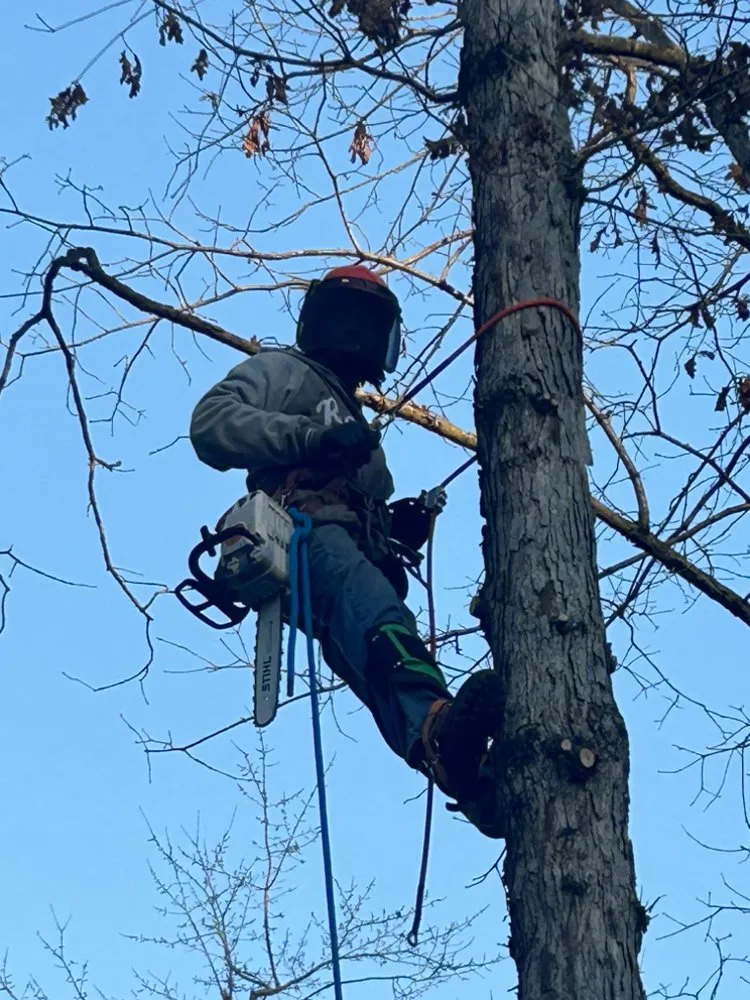 Custom garden landscaping in Culpeper, VA - Devon's Landscaping Plus