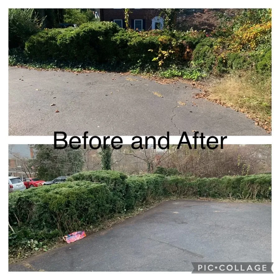 Expert landscaping services for outdoor upgrades in Culpeper, VA by Devon's Landscaping Plus