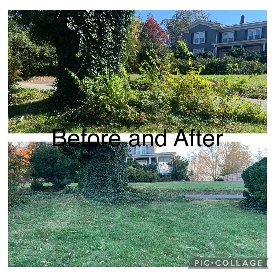 Reliable outdoor landscaping in Culpeper, VA by Devon's Landscaping Plus