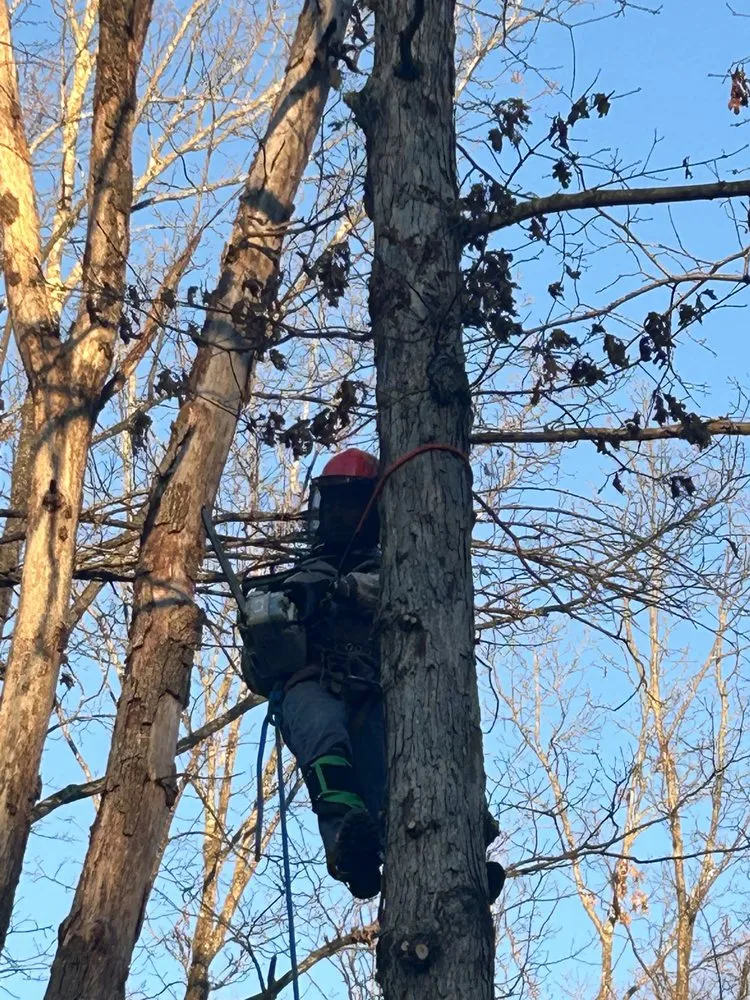 Local lawn mowing service for residential properties across Culpeper, VA - Devon's Landscaping Plus