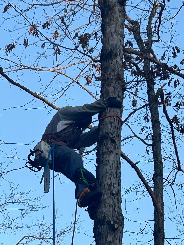 Expert outdoor landscaping experts serving Culpeper, VA - Devon's Landscaping Plus