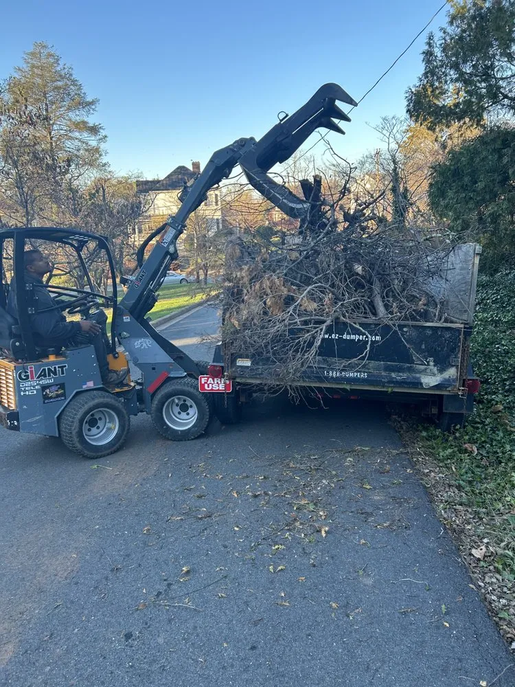 Reliable yard cleanup service near you across Culpeper, VA - Devon's Landscaping Plus
