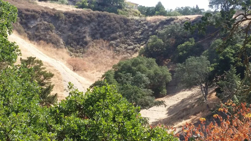 Top-rated lawn mowing service in Alamo, CA by Devon's Weed Abatement