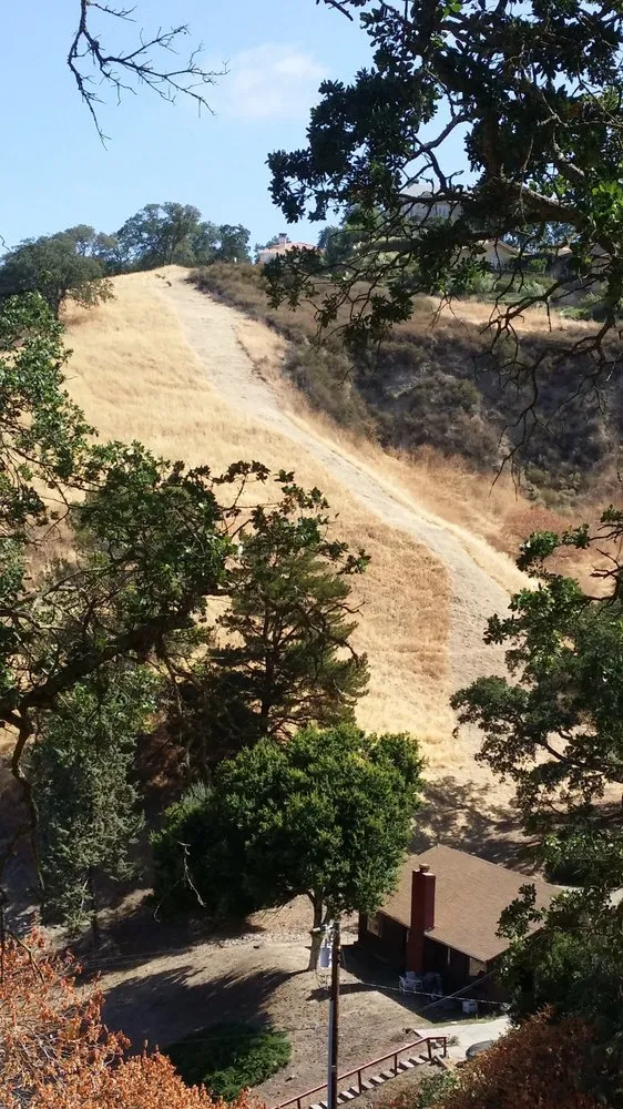 Trusted garden landscaping for year-round maintenance across Alamo, CA - Devon's Weed Abatement