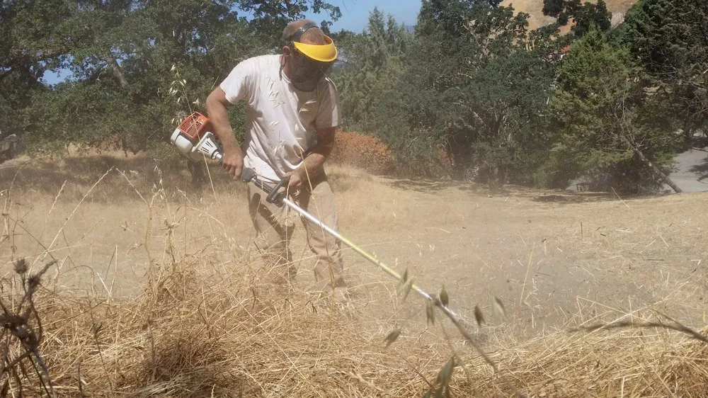 Reliable landscape installation with custom design in Alamo, CA by Devon's Weed Abatement
