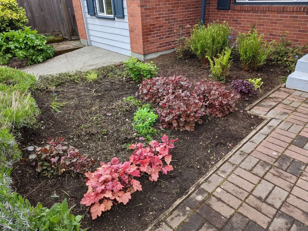 Professional residential landscaping with custom design in Seattle, WA by Devonshire Landscapes