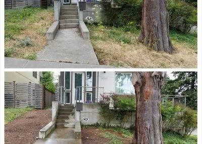 Professional lawn mowing service in Seattle, WA by Devonshire Landscapes