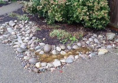 Expert residential landscaping in Seattle, WA by Devonshire Landscapes