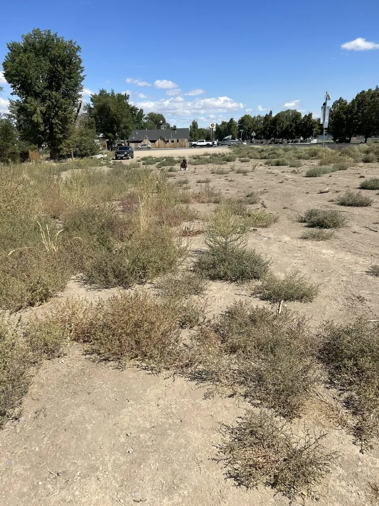 Professional yard maintenance for year-round maintenance across Madras, OR - DeVore’s Landscaping