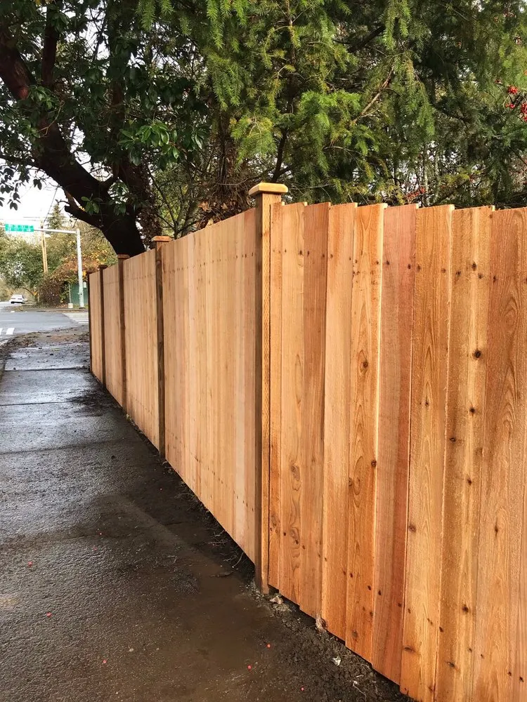 Reliable lawn mowing service in Seattle, WA - Devoted Construction