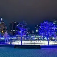 Top-rated landscaping services for outdoor upgrades across Jenison, MI - DeVries Landscape Management