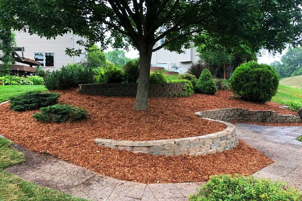 Affordable lawn mowing service for beautiful yards across Coon Rapids, MN - DeVries Lawn and Landscape