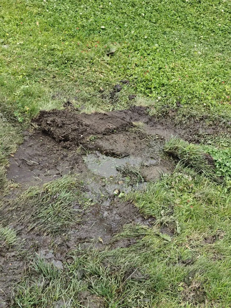 Top-rated landscape design experts serving Des Moines, IA - DeVries Outdoors