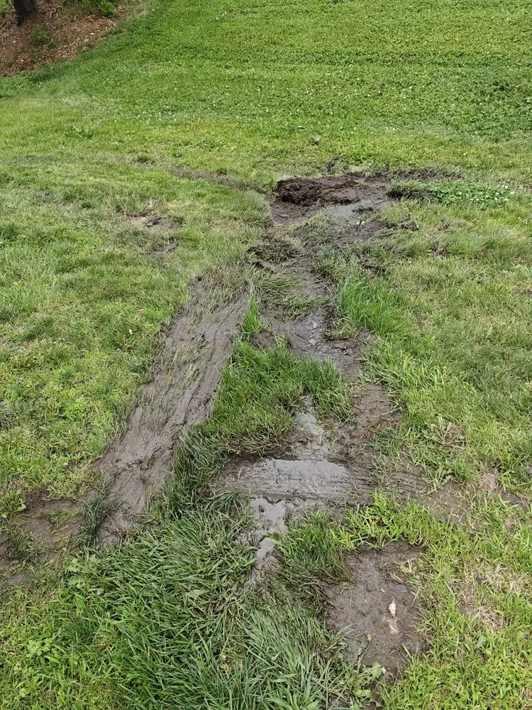 Affordable lawn care service for homes in Des Moines, IA by DeVries Outdoors