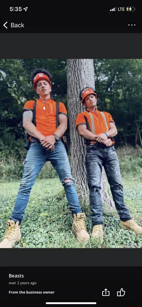 Expert landscape design experts serving Canonsburg, PA - Devs Climb N Cut