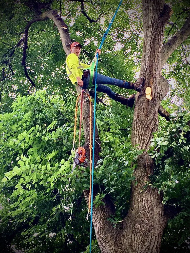 Top-rated landscape installation in Canonsburg, PA - Devs Climb N Cut