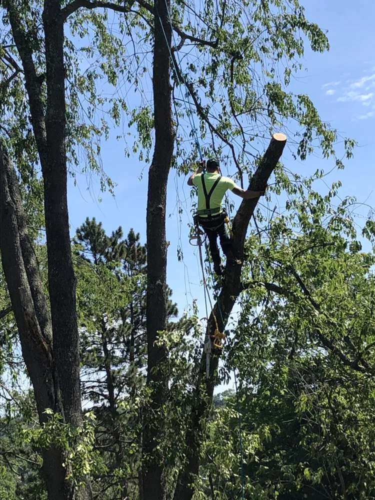 Professional lawn care service for outdoor upgrades across Canonsburg, PA - Devs Climb N Cut