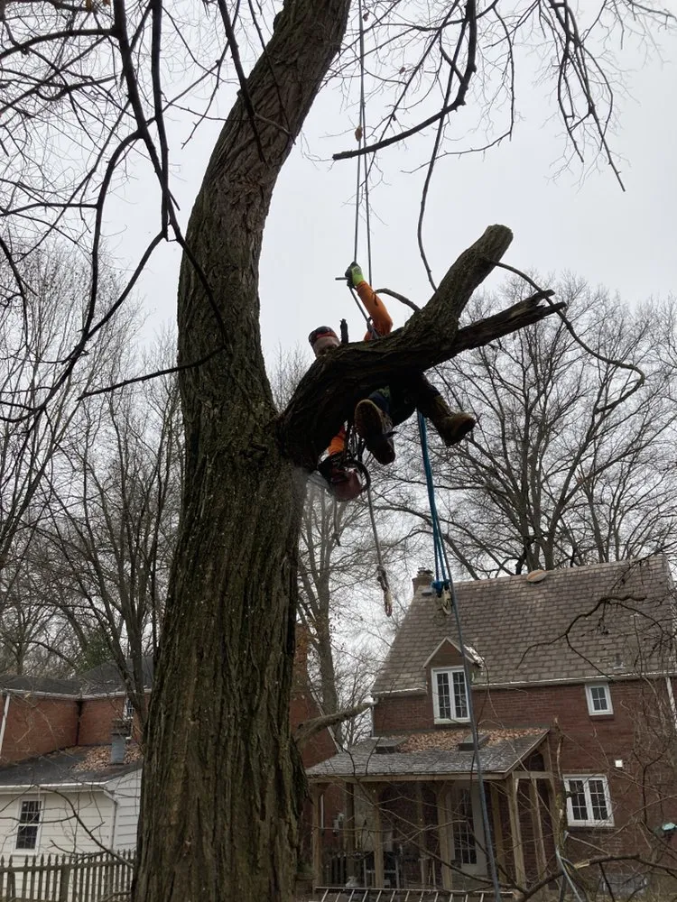 Reliable landscaping services for homes across Canonsburg, PA - Devs Climb N Cut