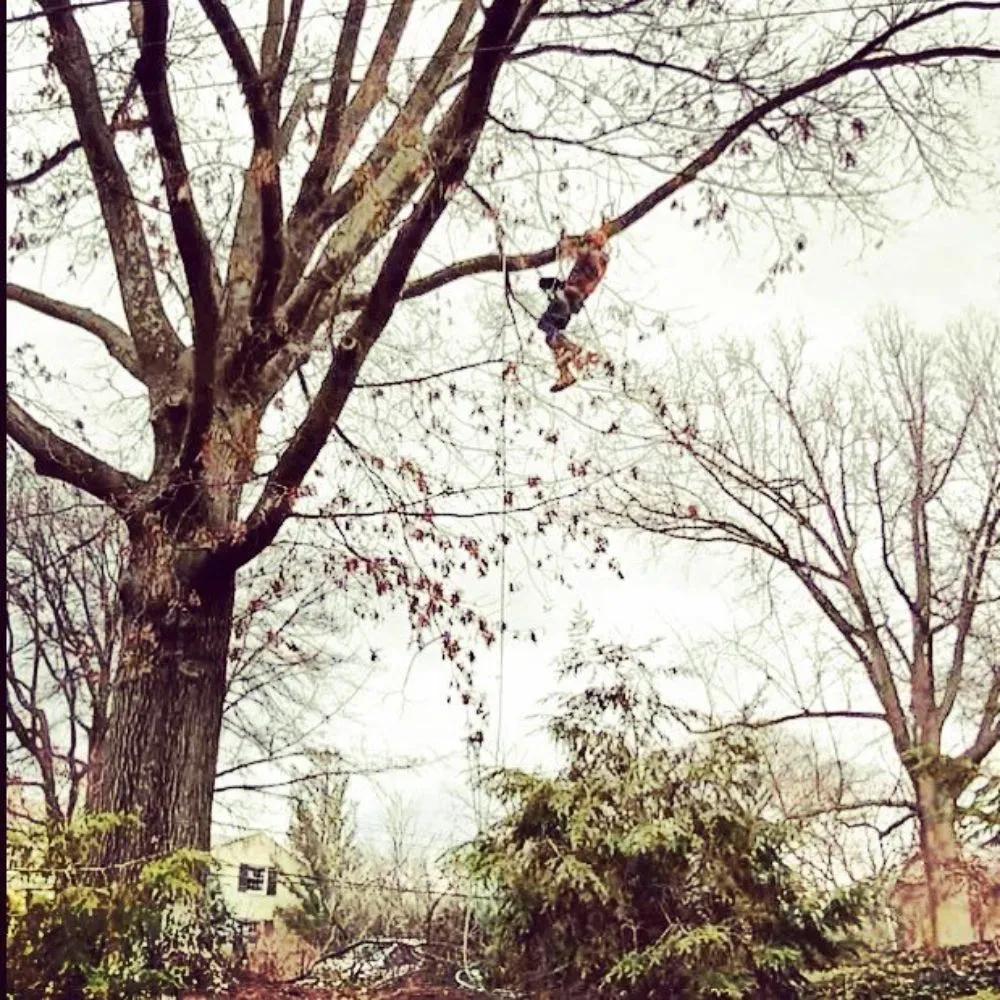 Top-rated landscaping services in Canonsburg, PA - Devs Climb N Cut