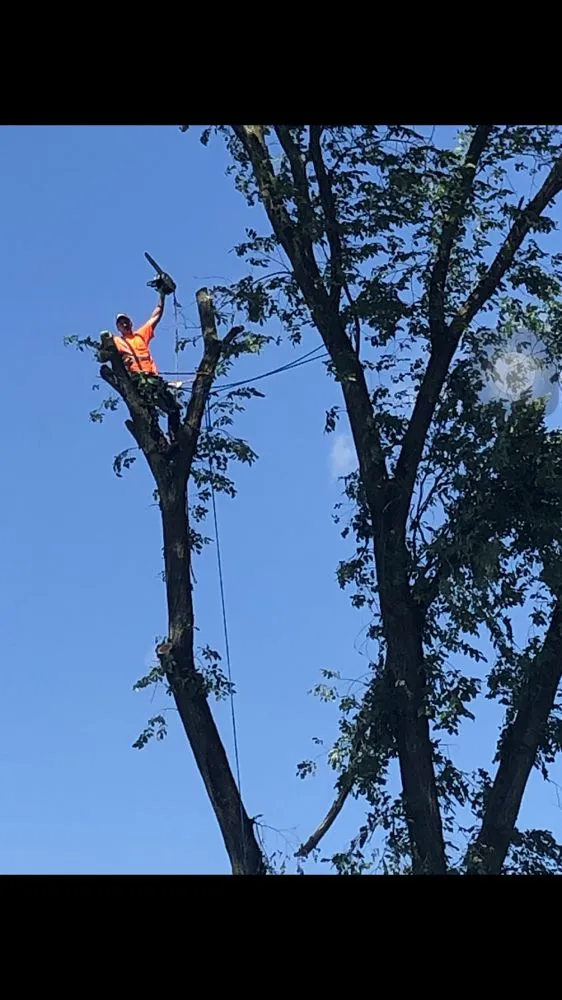 Top-rated yard maintenance experts serving Canonsburg, PA - Devs Climb N Cut