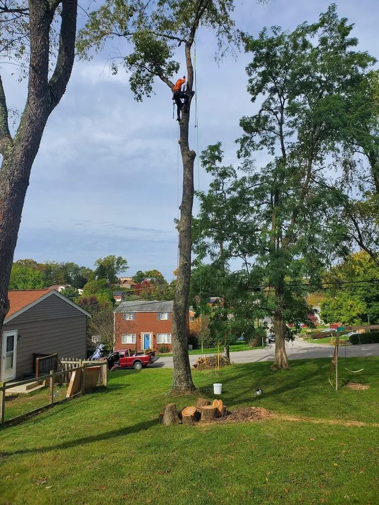 Custom landscaping services experts serving Canonsburg, PA - Devs Climb N Cut