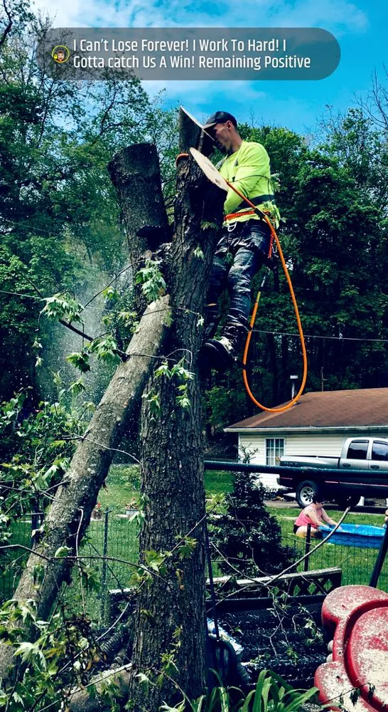 Professional landscape design in Canonsburg, PA - Devs Climb N Cut