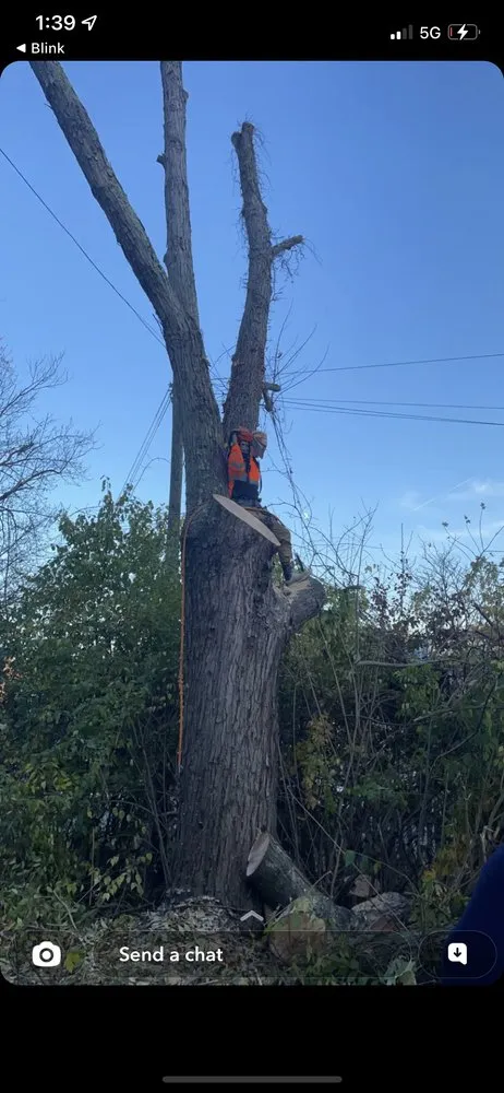 Expert outdoor landscaping in Canonsburg, PA by Devs Climb N Cut