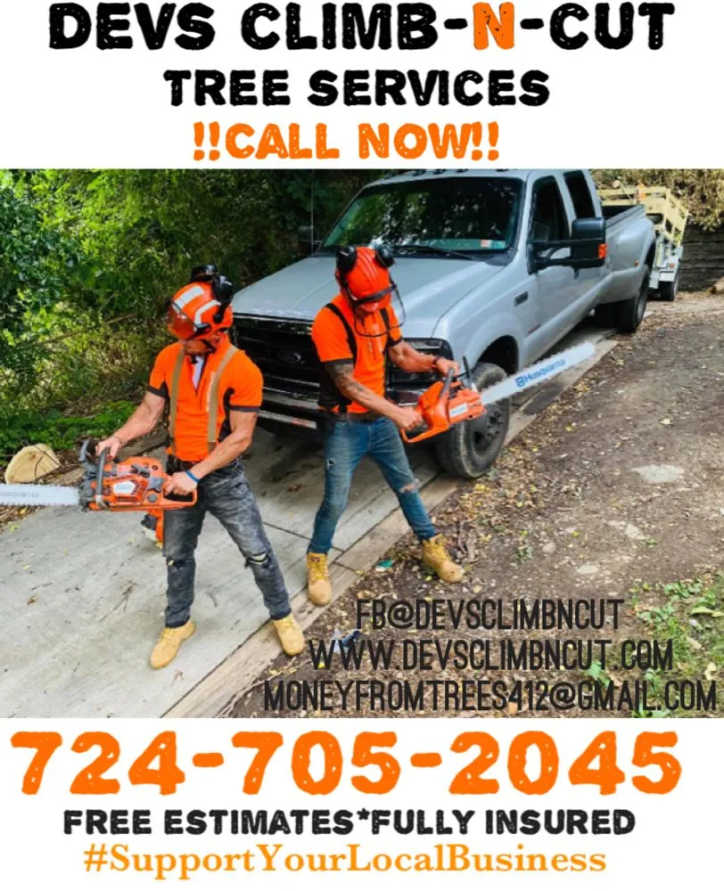 Top-rated lawn care service in Canonsburg, PA - Devs Climb N Cut