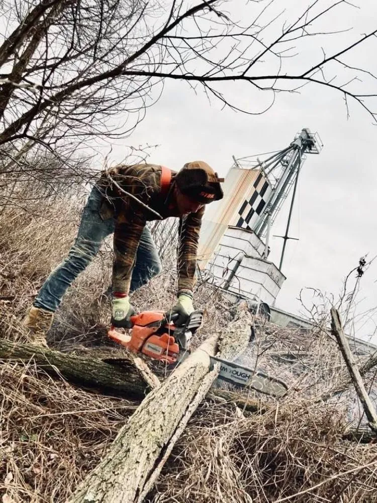 Reliable landscape design for beautiful yards across Canonsburg, PA - Devs Climb N Cut