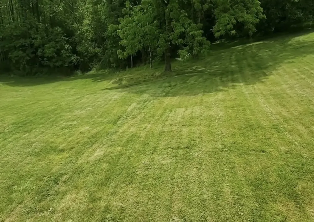 Professional lawn care service with custom design across Yadkinville, NC - Dev’s Landscaping and Small Engine Repair