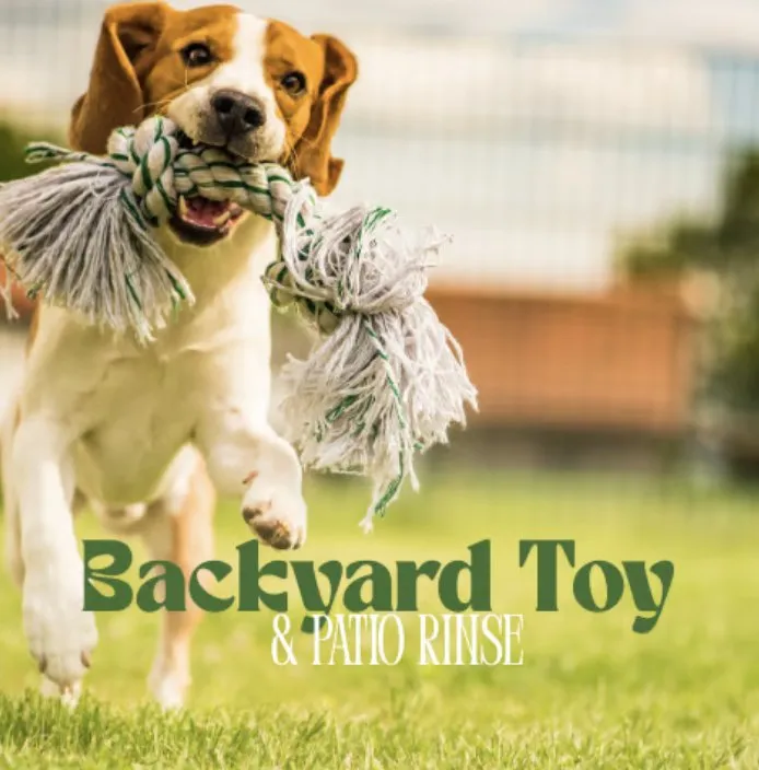 Reliable yard cleanup service for year-round maintenance across Lakeland, FL - Dew Dew Pet & Lawn Services