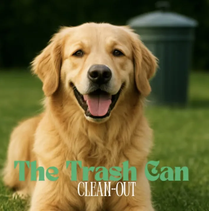 Top-rated yard maintenance experts serving Lakeland, FL - Dew Dew Pet & Lawn Services