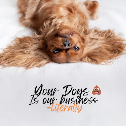 Trusted residential landscaping in Lakeland, FL - Dew Dew Pet & Lawn Services