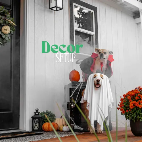 Custom yard maintenance for outdoor upgrades in Lakeland, FL by Dew Dew Pet & Lawn Services