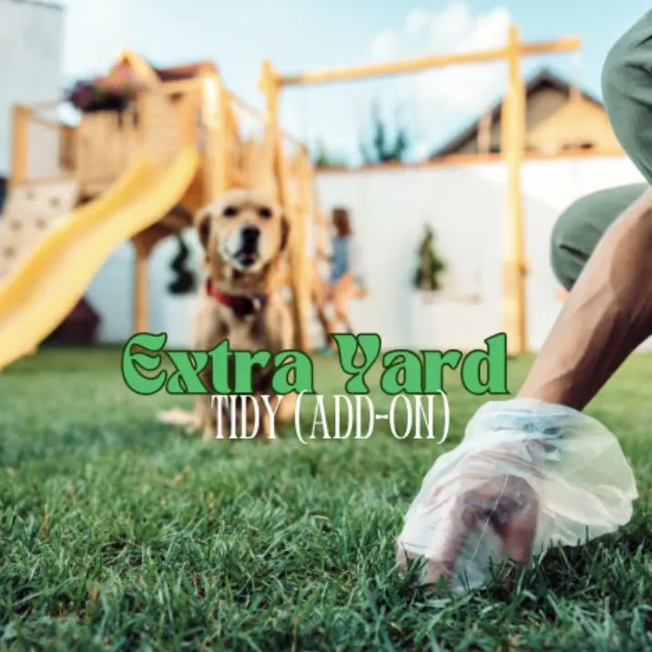 Affordable lawn mowing service near you in Lakeland, FL by Dew Dew Pet & Lawn Services