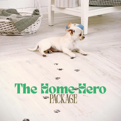 Top-rated landscaping services experts serving Lakeland, FL - Dew Dew Pet & Lawn Services