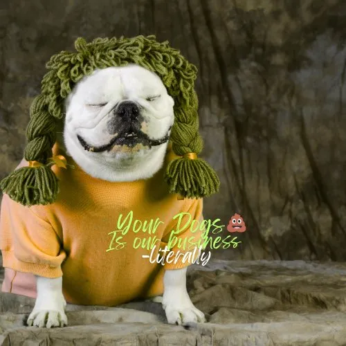 Reliable outdoor landscaping in Lakeland, FL by Dew Dew Pet & Lawn Services