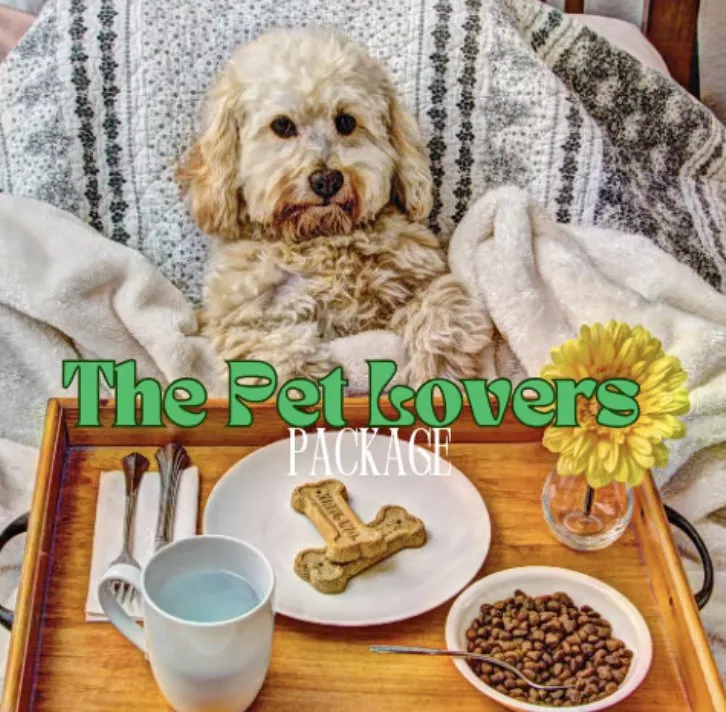 Affordable landscape installation experts serving Lakeland, FL - Dew Dew Pet & Lawn Services